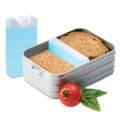 kühlakku für lunchbox