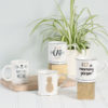 crazy cat lady tasse