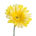 gerbera gelb