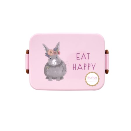 rice lunchbox hase