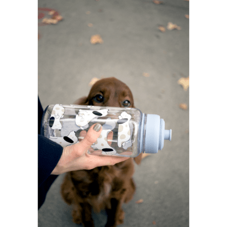 sass & belle trinkflasche 'barney the dog'
