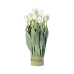 tulpen-bouquet