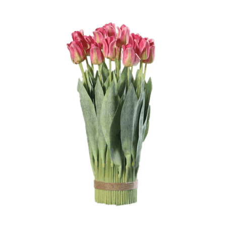 tulpen-bouquet