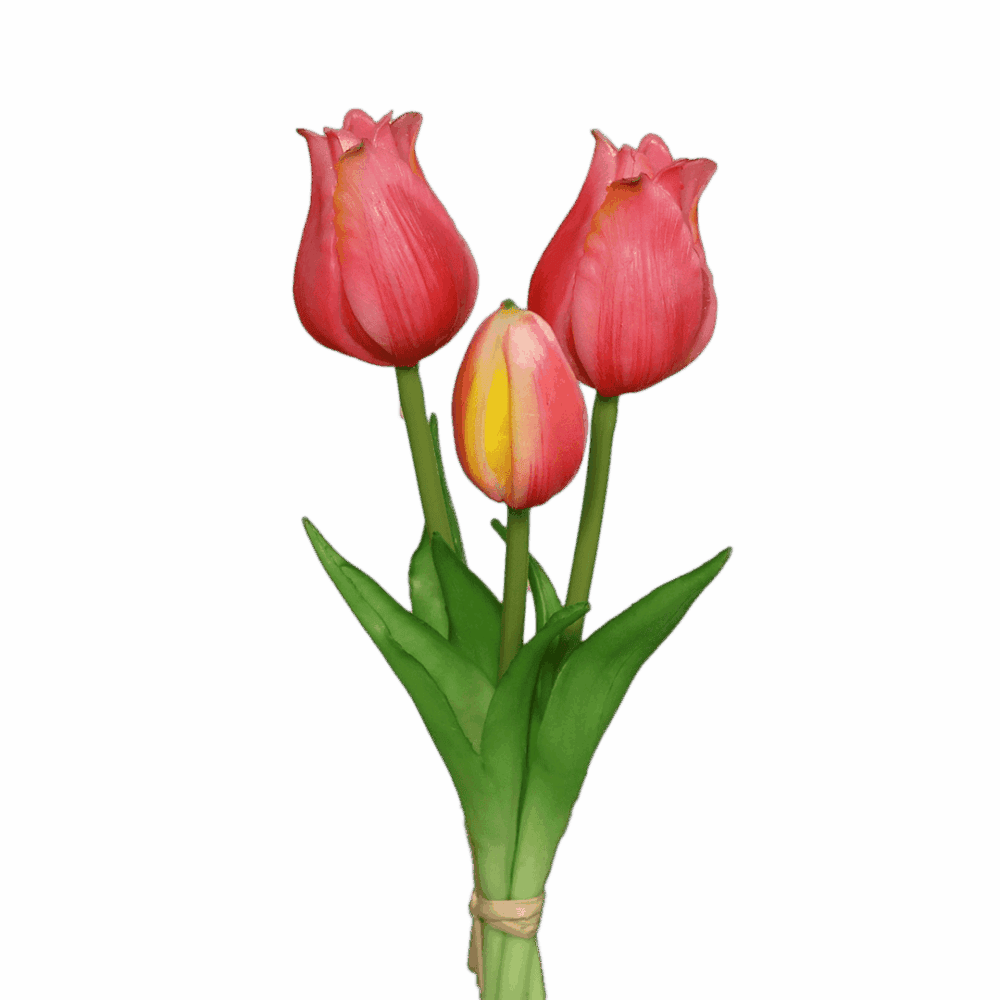 tulpen pink