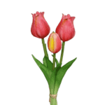 tulpen pink