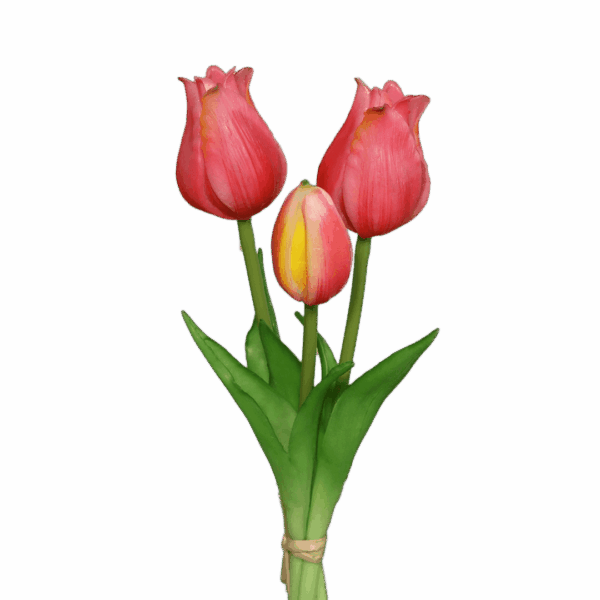 tulpen pink