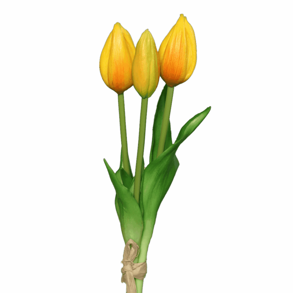tulpen dunkles gelb