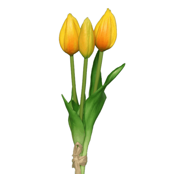 tulpen dunkles gelb