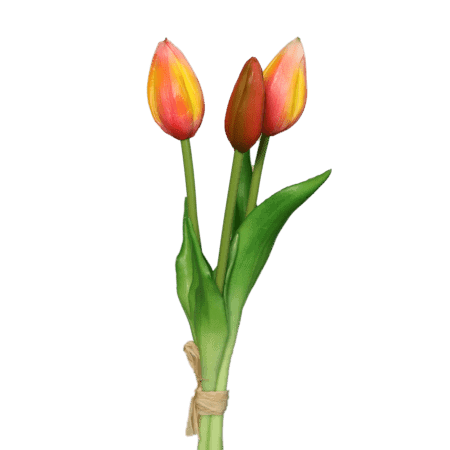 tulpen rosa