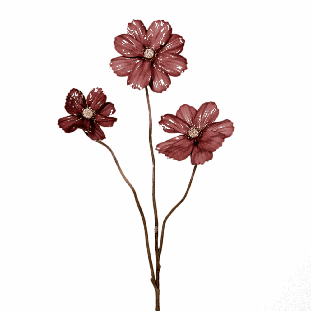 cosmea mit drei blüten, dunkles rosé