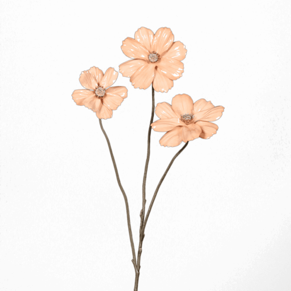 cosmea mit drei blüten, honey