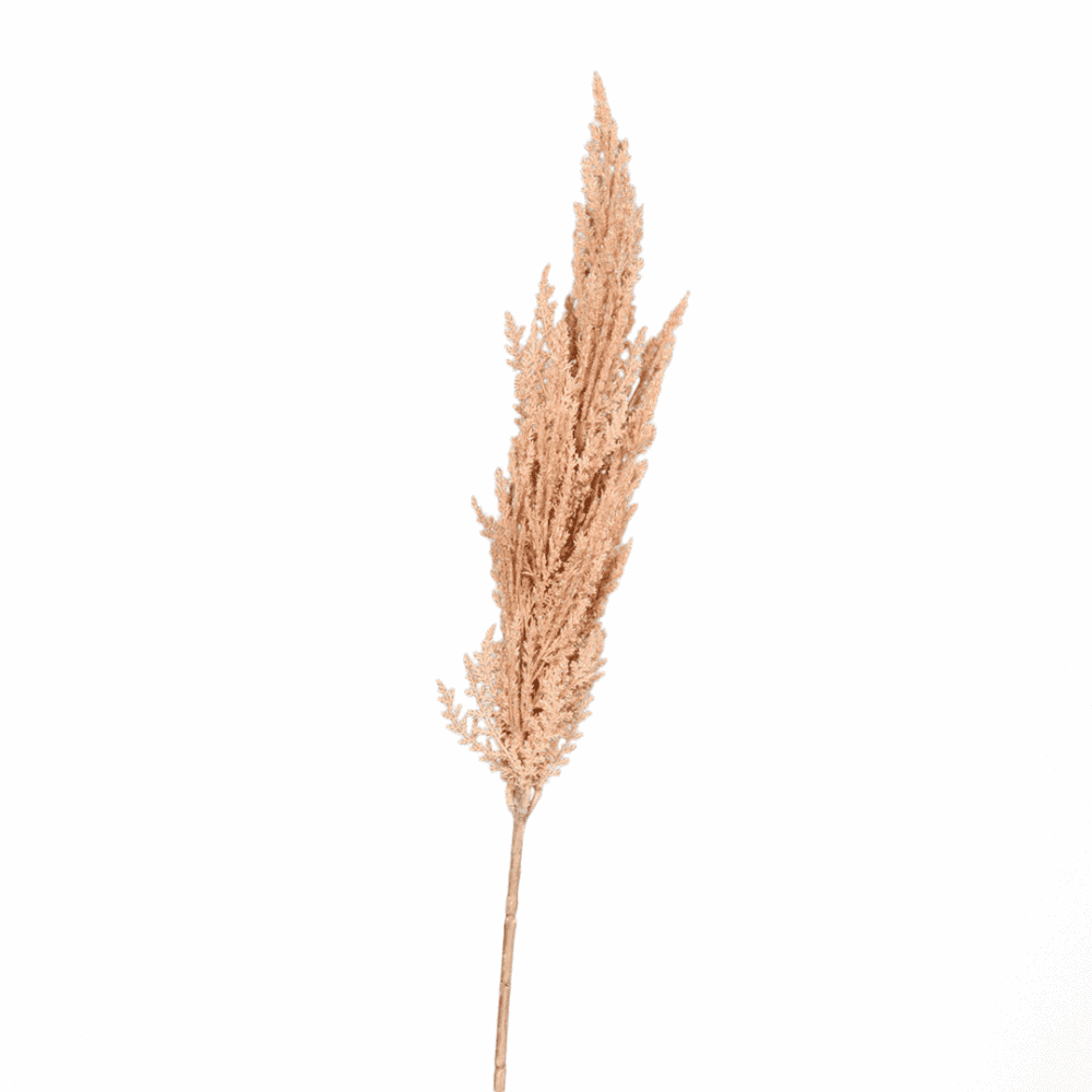 pampaswedel, hellrosa