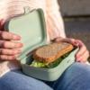 koziol lunchbox basic, organic pink