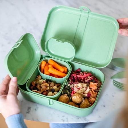 koziol lunchbox-set pascal ready, nature coral