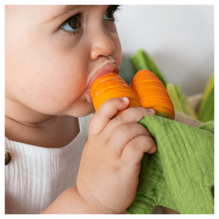 oli & carol, beißspielzeug mit kuscheltuch "cathy the carrot"