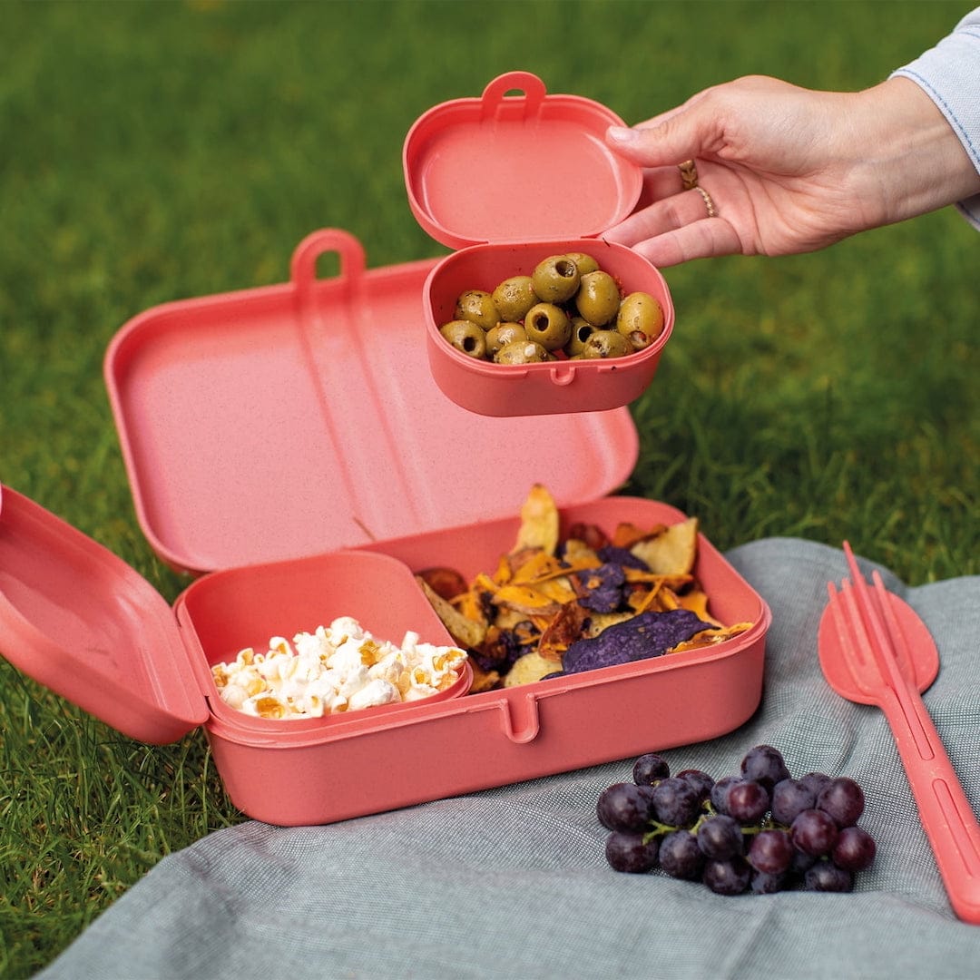 koziol pascal ready lunchbox set mit klikk besteck nature coral situation
