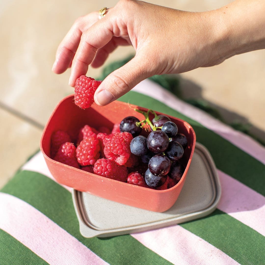 koziol auslaufsichere box candy