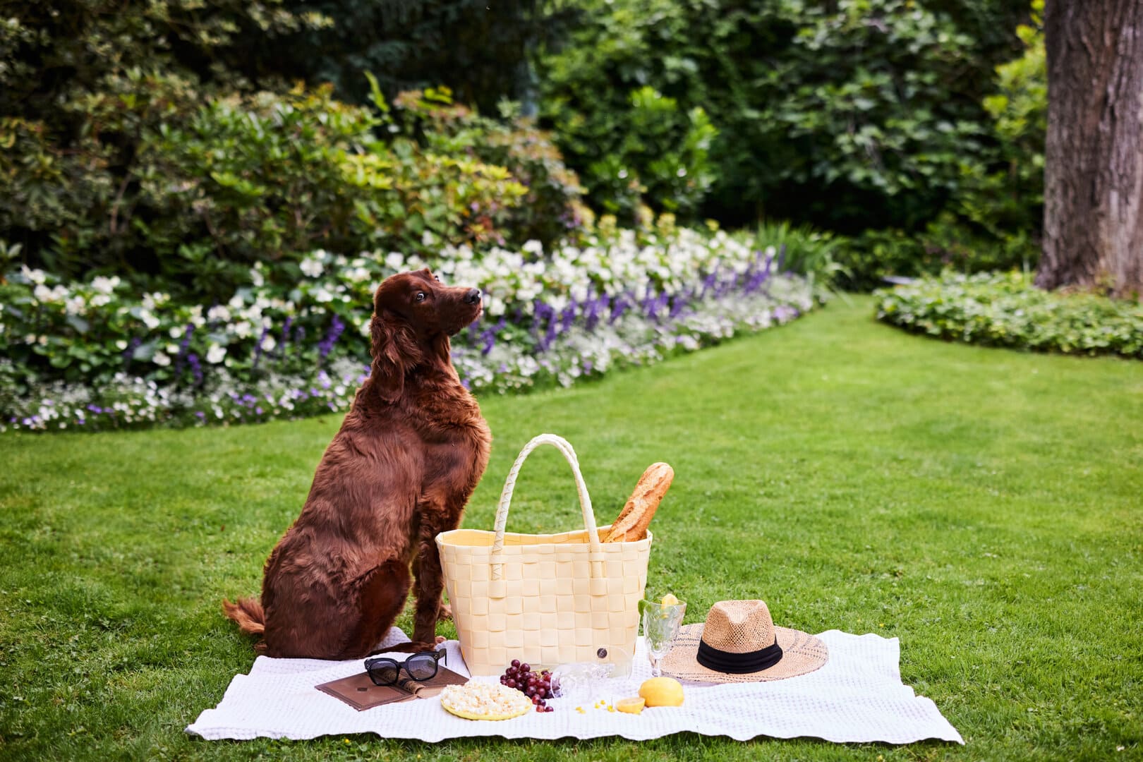 kampagne sommer highlights