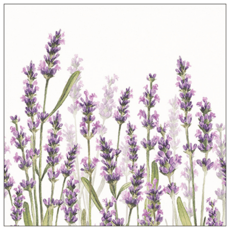 ambiente, papierservietten "lavender shades white", 33 cm