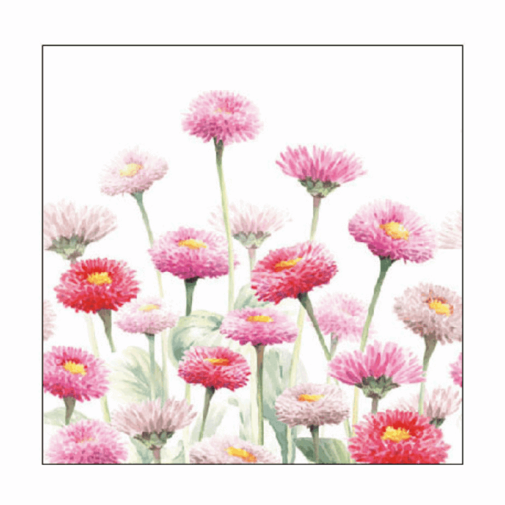 ambiente, papierservietten "painted bellis", 25 cm