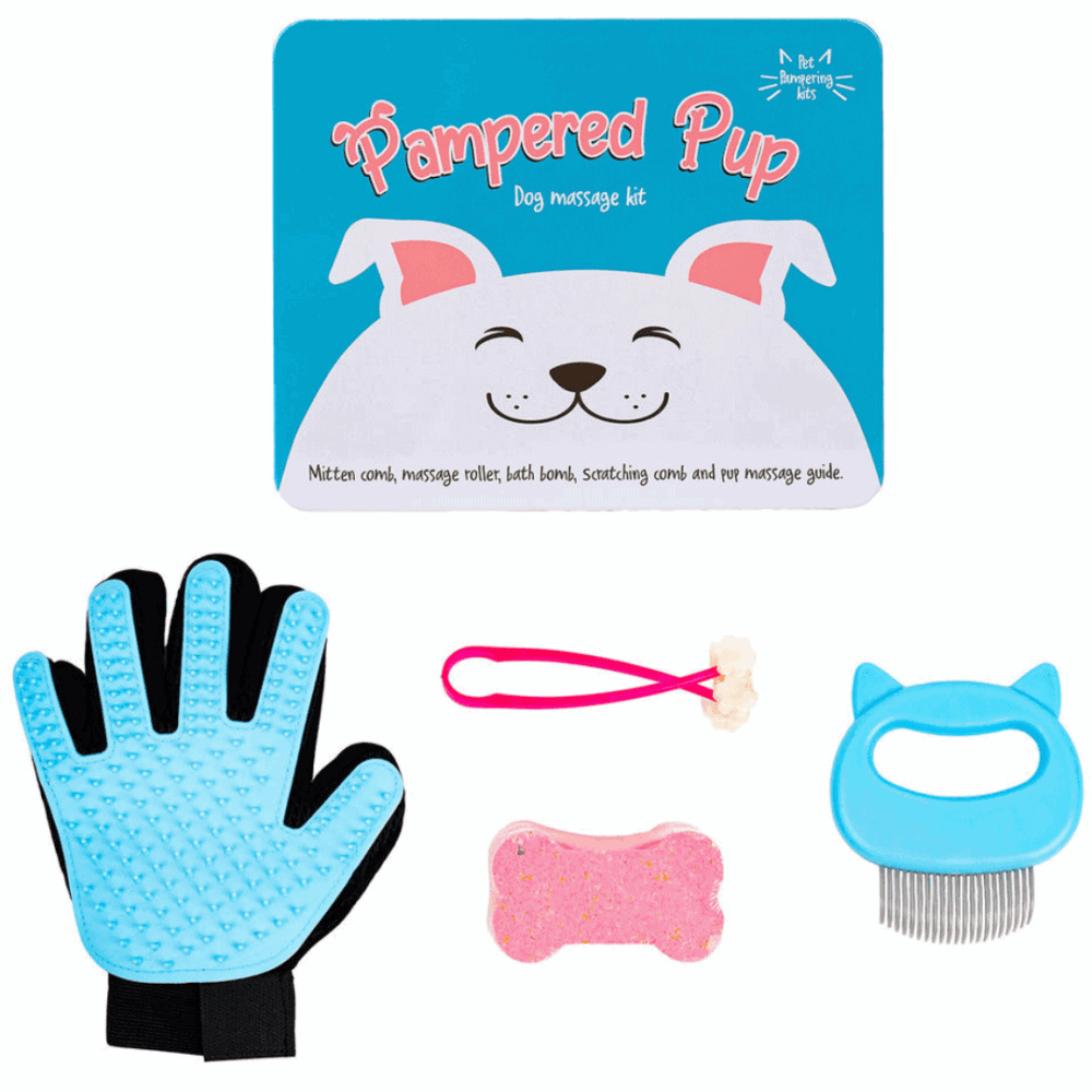 mags hunde verwöhn-kit