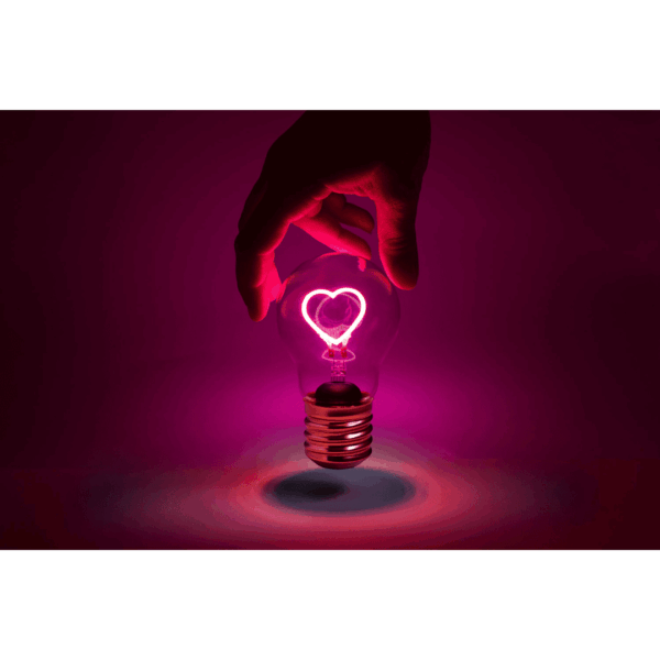 mags "holy guacamole" avocadoschneider