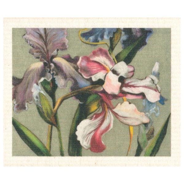 more joy schwammtuch "vintage eastern"