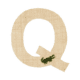 Q