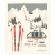 more joy schwammtuch "ski"