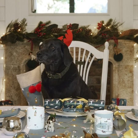 sophie allport weihnachtssack 'christmas house' (kopie)