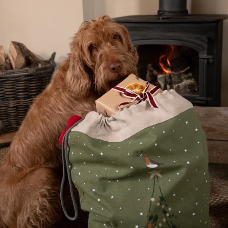 sophie allport weihnachtssack 'festive forest' (kopie)