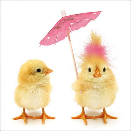 ambiente, papierservietten "easter chickens", 33 cm