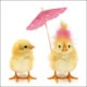 ambiente, papierservietten "easter chickens", 33 cm