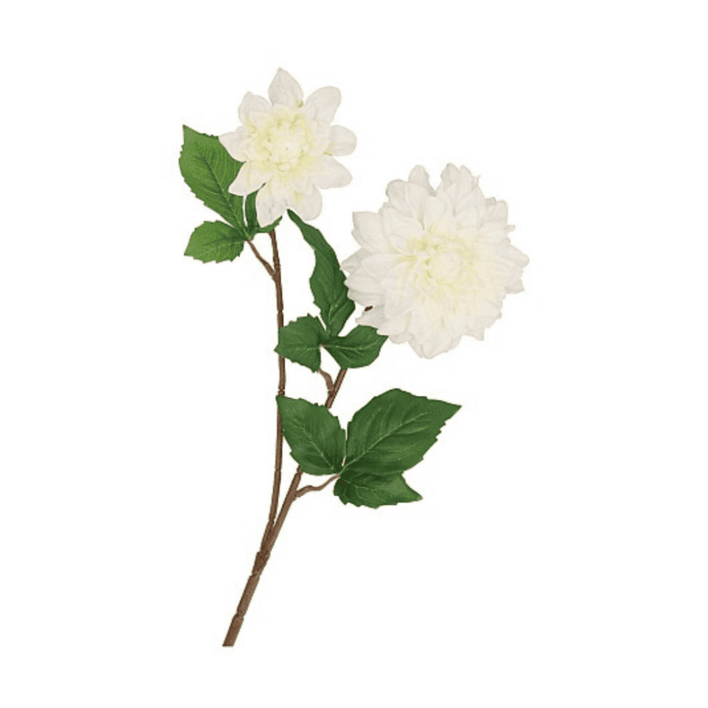 daan kromhout rose rot, 43cm (kopie)