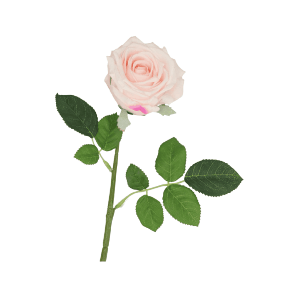 daan kromhout rose rosa, 43cm (kopie)