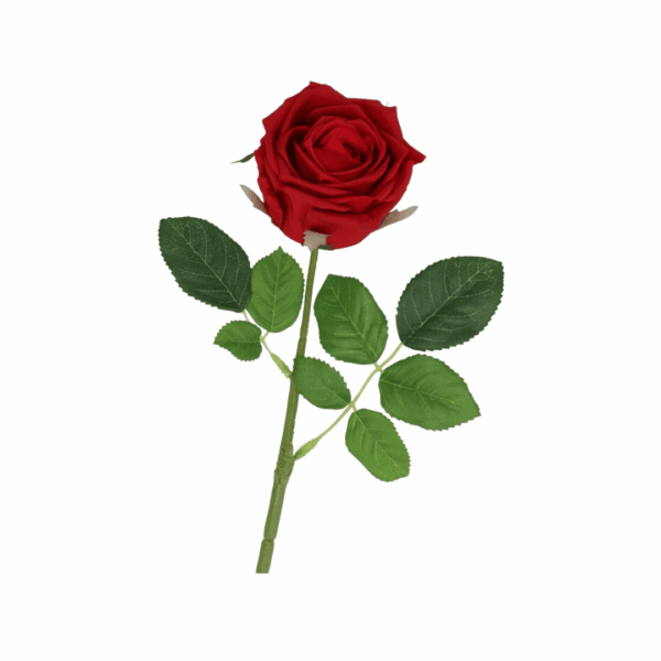 daan kromhout rose hellrosa, 43cm (kopie)