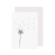 Pusteblume