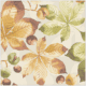 ambiente, papierservietten "eucalyptus and fern bouquet", 33 cm (kopie)