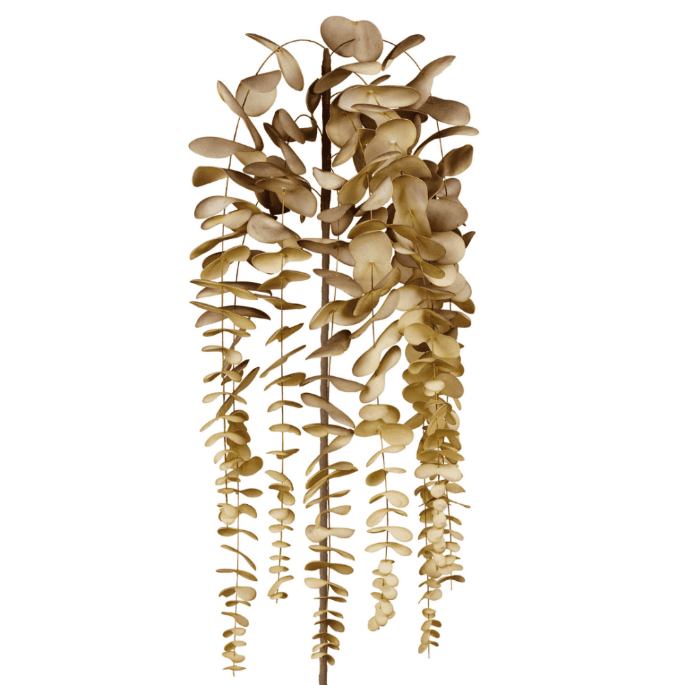 yliades kunstblume "anemia" (kopie)