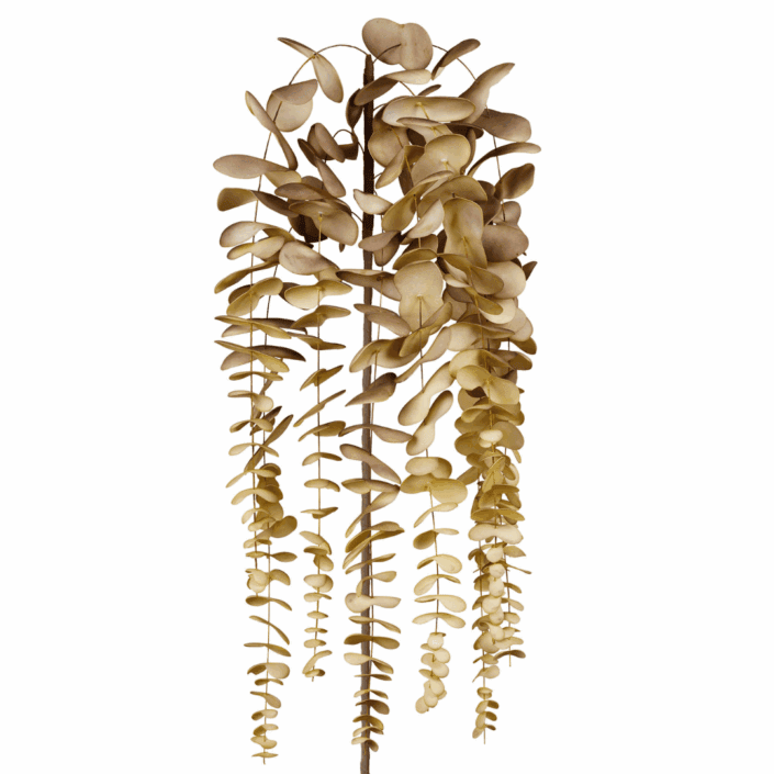 yliades kunstblume 