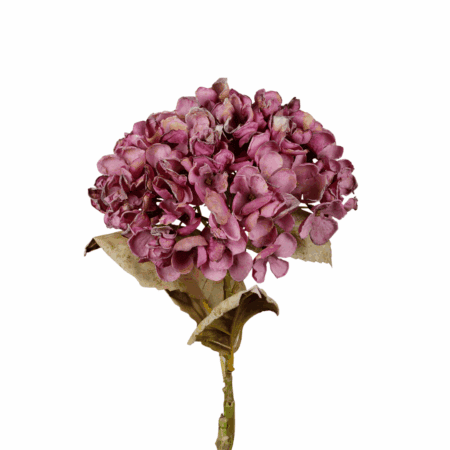 yliades kunstblume "eukalyptus", braun-ocker (kopie)