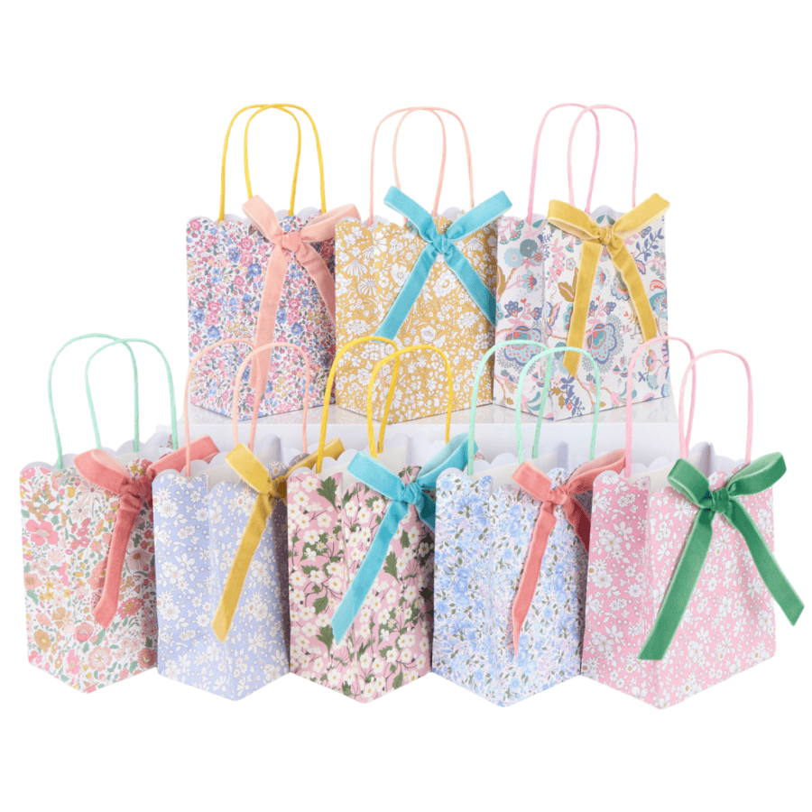 Meri-Liberty-Party-Bags
