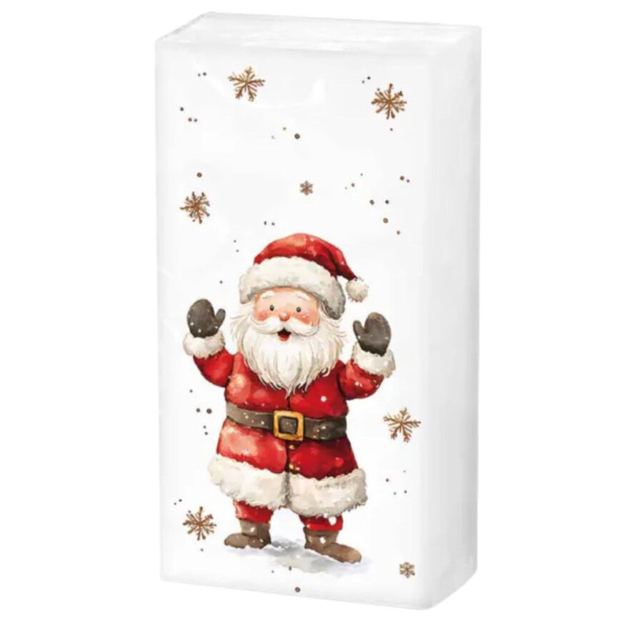 ambiente-taschentuecher-jolly-friends