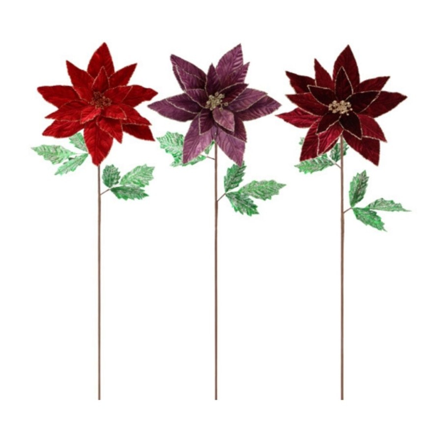 hoff-blumen-trio-stella-di-natale
