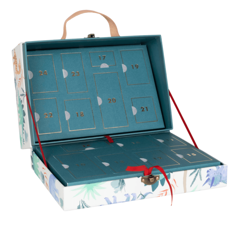Meri-Dinosaur-Advent-Calendar1
